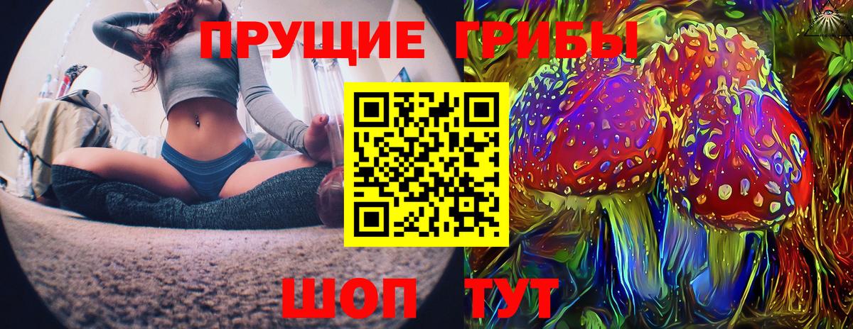 Тихорецк  Псилоцибиновые грибы Psilocybe  закладка  Вход с VPN 